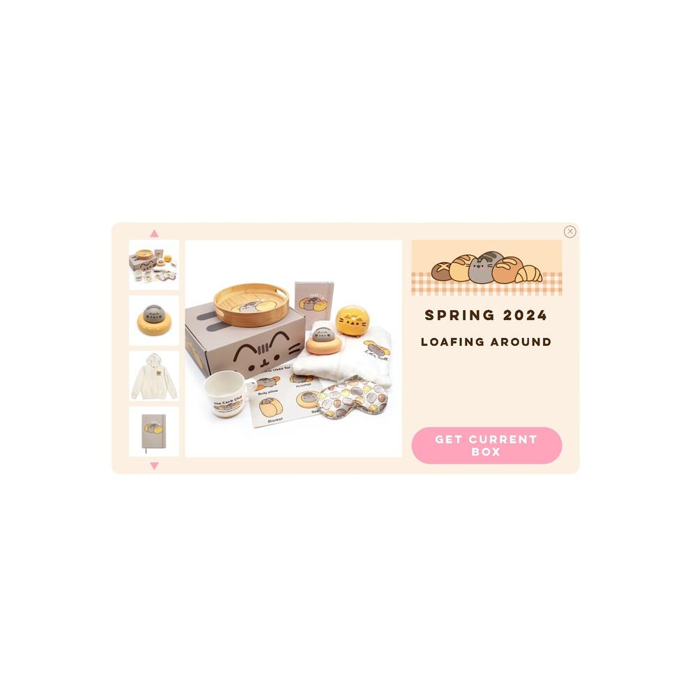 Pusheen Box Spring 2024  Loafing Around